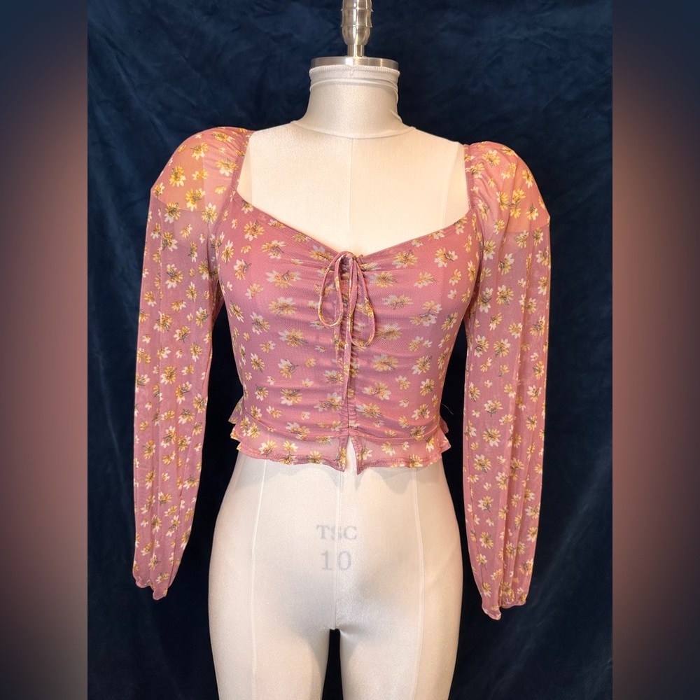 Blush Pink With Floral Accents Cottage Core Mesh Long Sleeve Top